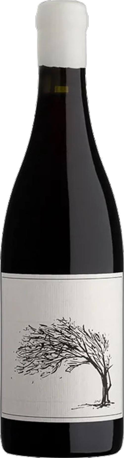 Savage Girl Next Door