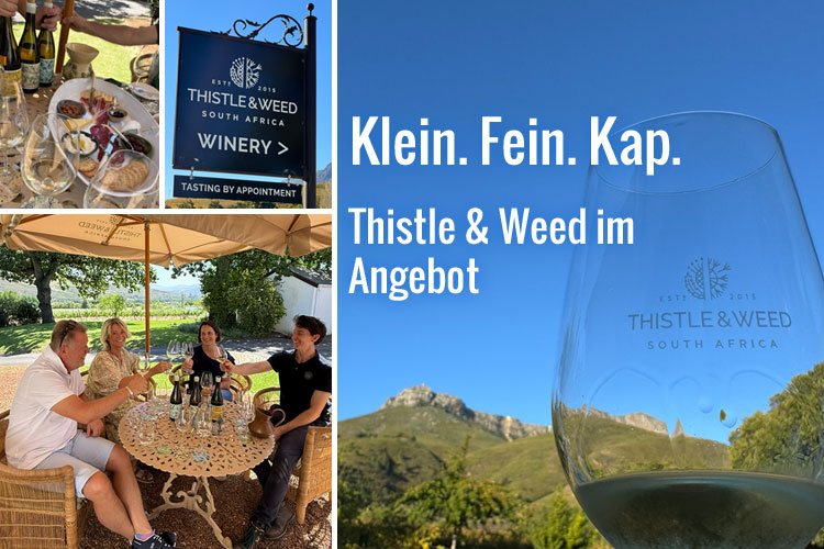 Newsletterangebote der Woche