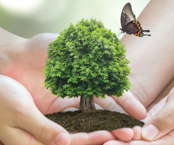 Fairtrade gehandelte Weine