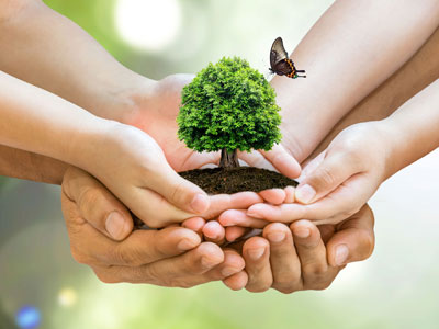 Fairtrade gehandelte Weine