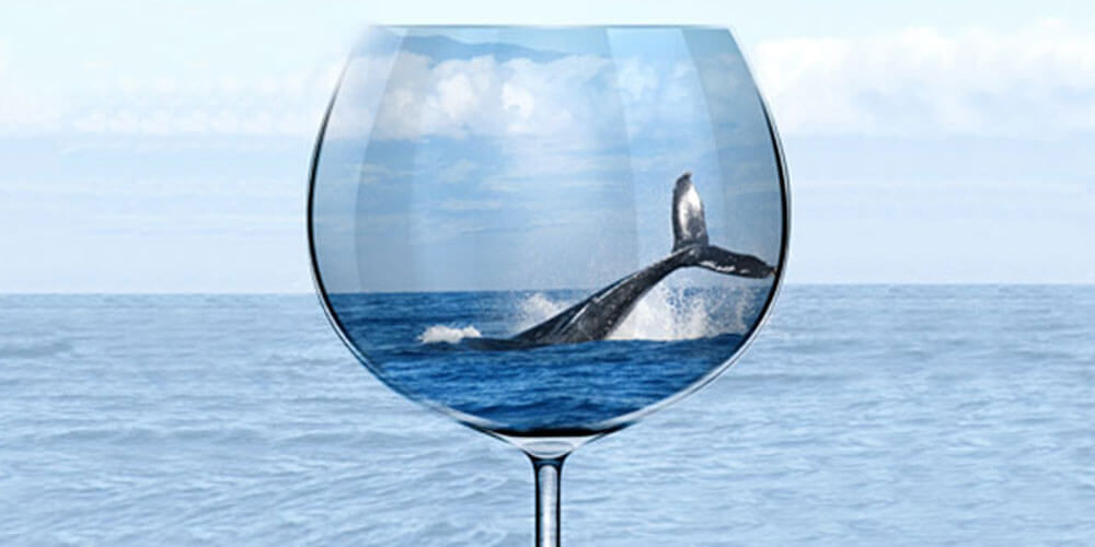 Blick durch ein Rotweinglas in dem ein Wal abzutauchen scheint der im Atlantik schwimmt
