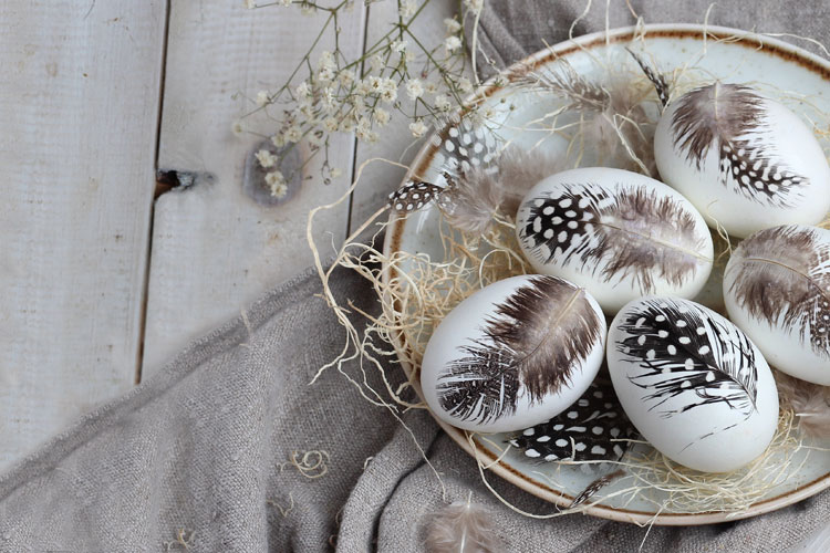 Newsletterangebote der Woche