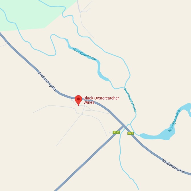 Black Oystercatcher Karte