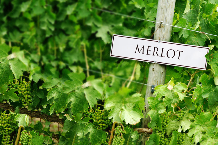 Newsletterangebote der Woche