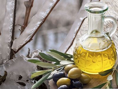 Olivenöl aus Südafrika