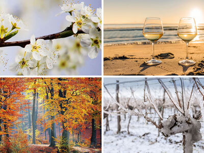 Saisonale Empfehlungen