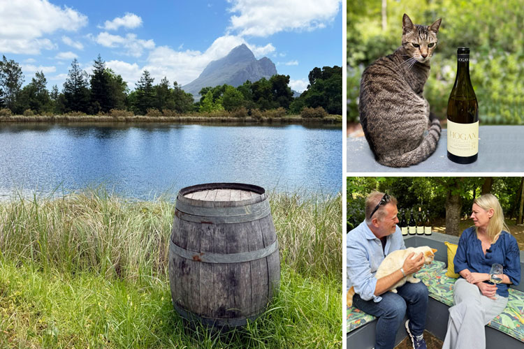 Newsletterangebote der Woche