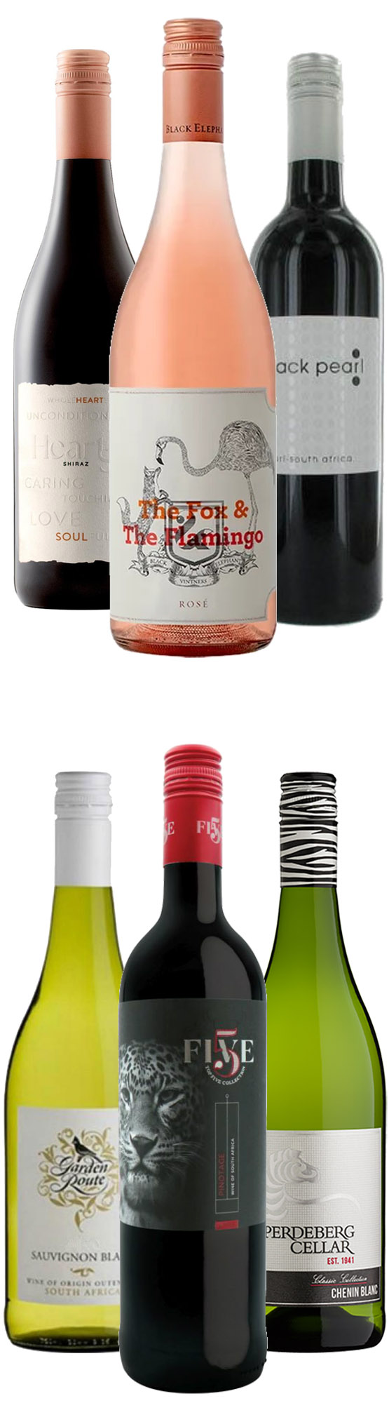 Südafrika Weinpaket für jeden Tag