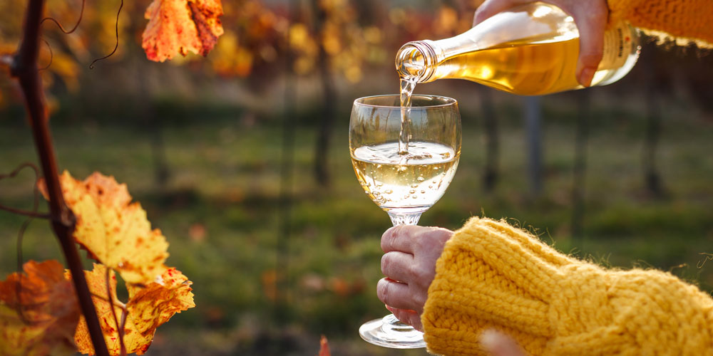 Herbstweine - Vollmundigen Genuss entdecken