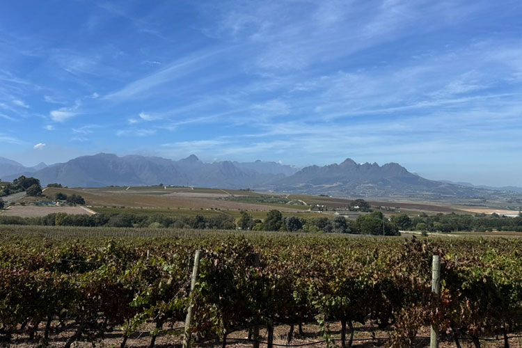 Newsletterangebote der Woche