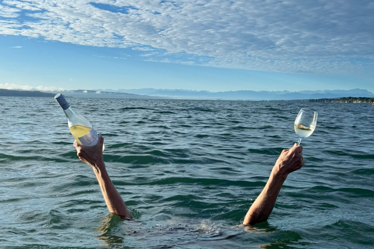 Sommerschlußverkauf bei Südafrika Weinversand