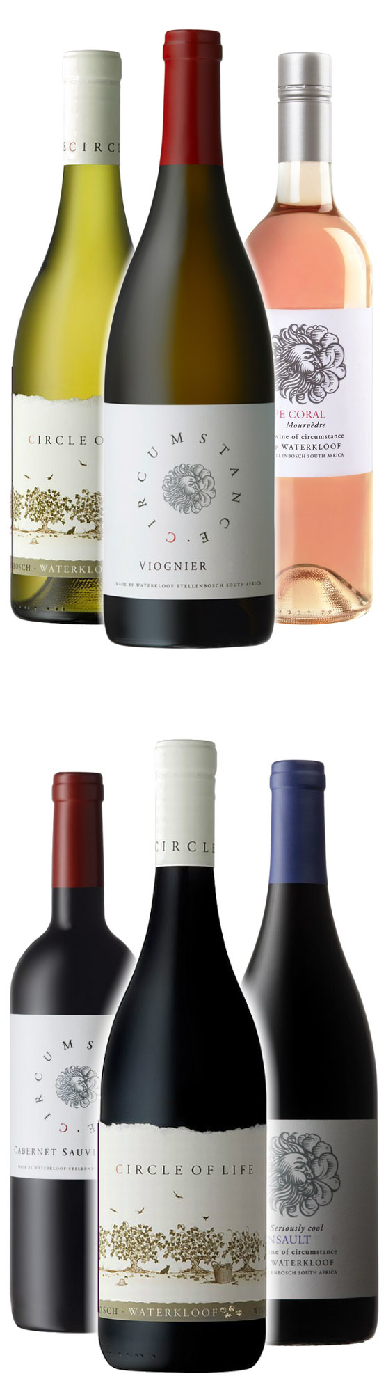 Weinreise zu Waterkloof