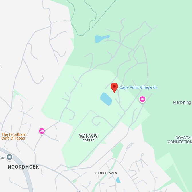 Cape Point Vineyards Karte