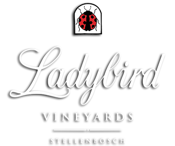 Ladybird Vineyards