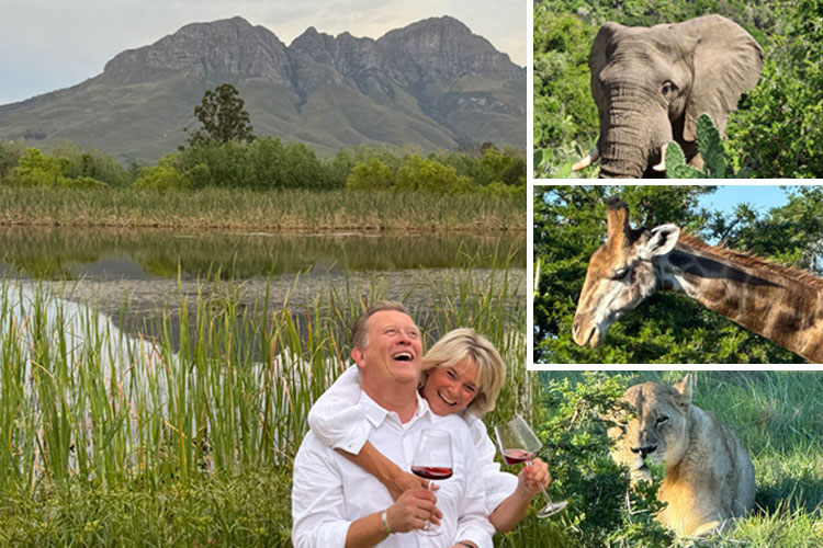 Newsletterangebote der Woche