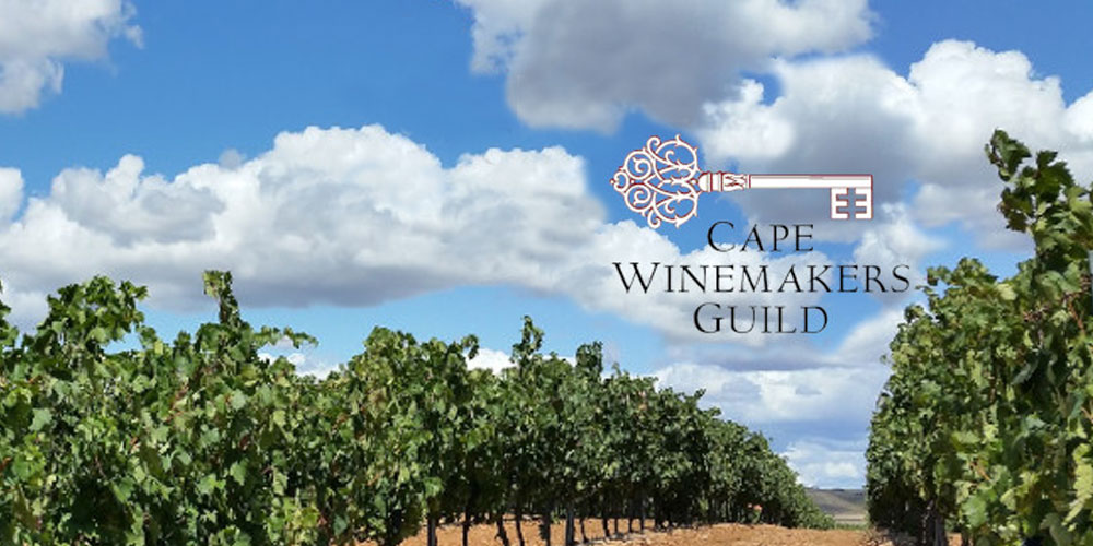 Blick durch einen Rebgang im Weinberg mit Logo der Cape Winemakers Guild aus Südafrika