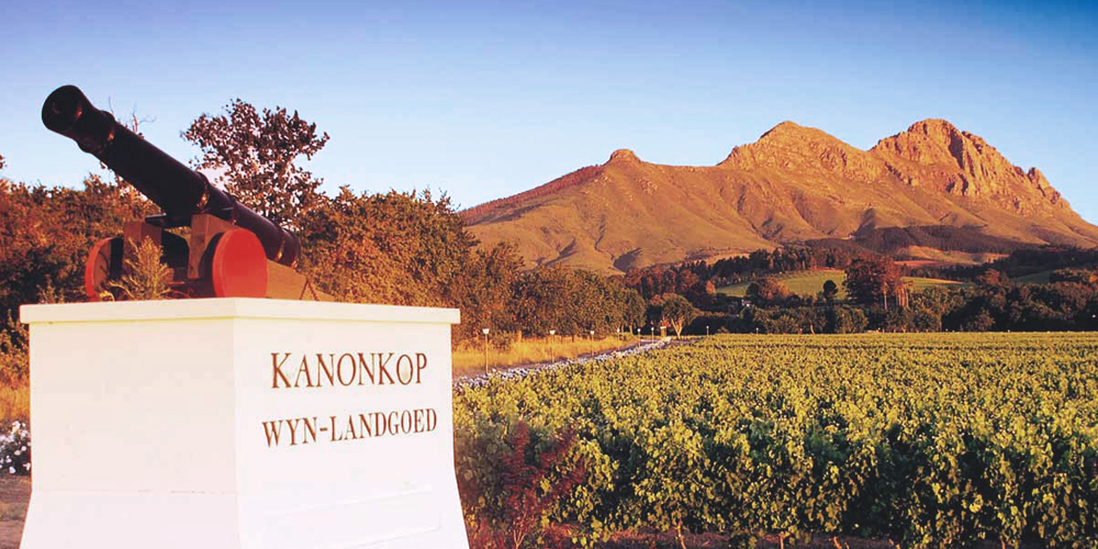 Blick auf den Eingangsbereich des Weingutes Kanonkop vor einem Bergmassiv in der Region Stellenbosch in Südafrika