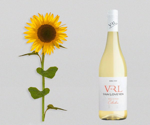 Erfrischend und super fruchtig im Sommer: Neils Pick Colombar 2026
