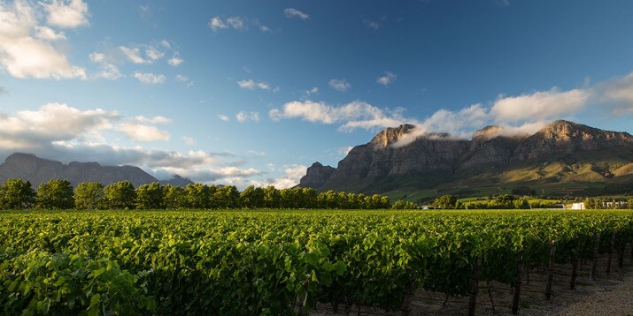 Rupert & Rothschild Vignerons