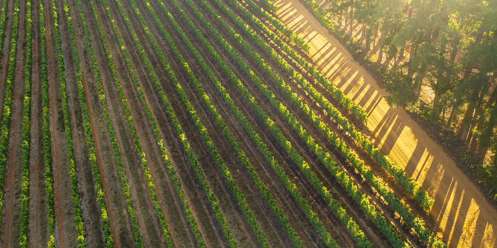 Swartland