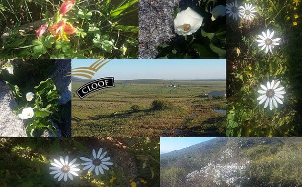 65758b_577a7b94d9d946cf82d3870d724aba02_mv2