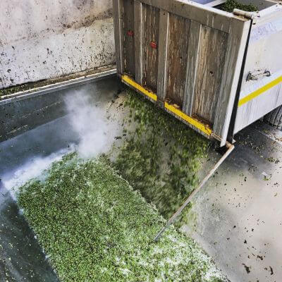 Springfield-Trockeneis-1