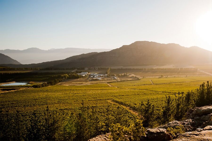 Piekenierskloof Wine Company Piekenierskloof Wine Company