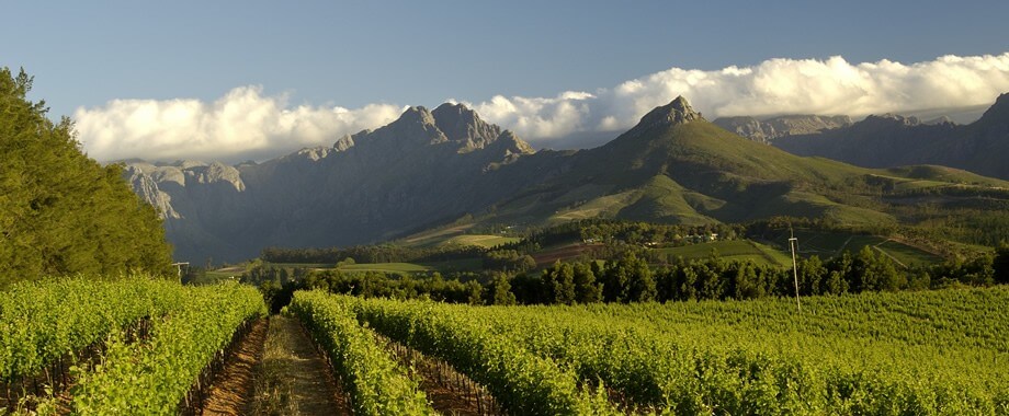 Knorhoek Private Wines Knorhoek Private Wines