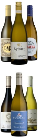 Probierpaket Chenin Blanc , der Tausendsassa Probierpaket Chenin Blanc , der Tausendsassa