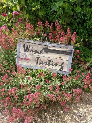 Weinsprache_bearbeitet