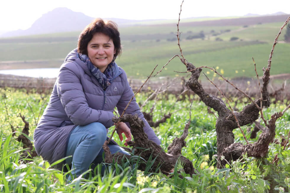 Cecilia Wines Cecilia Wines