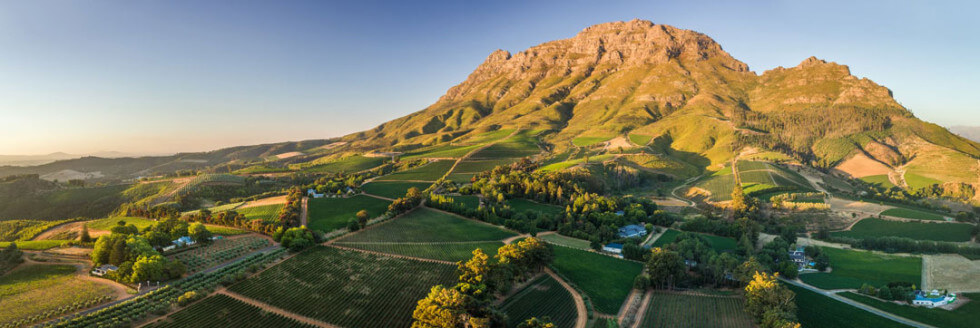 Thelema Mountain Vineyards Thelema Mountain Vineyards