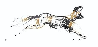 Painted Wolf Wines Painted Wolf Wines