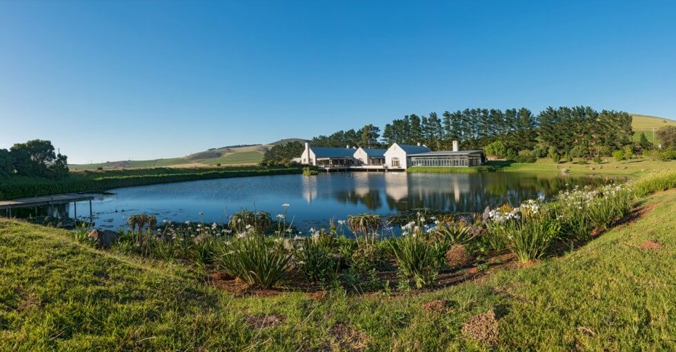 Nitida Cellars Nitida Cellars