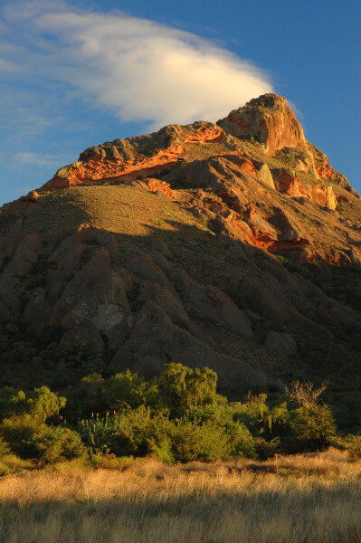 De-Krans_Rooikopppe-2