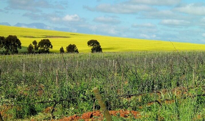 Hughes Family Wines