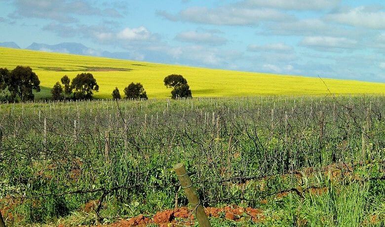 The Hughes Family Wines The Hughes Family Wines