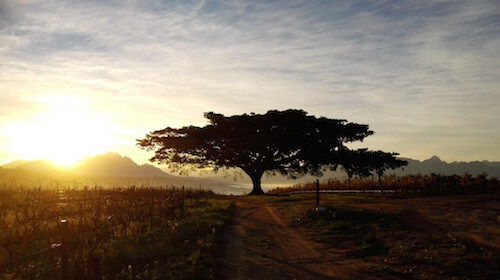 IMG_20160529_080412_1