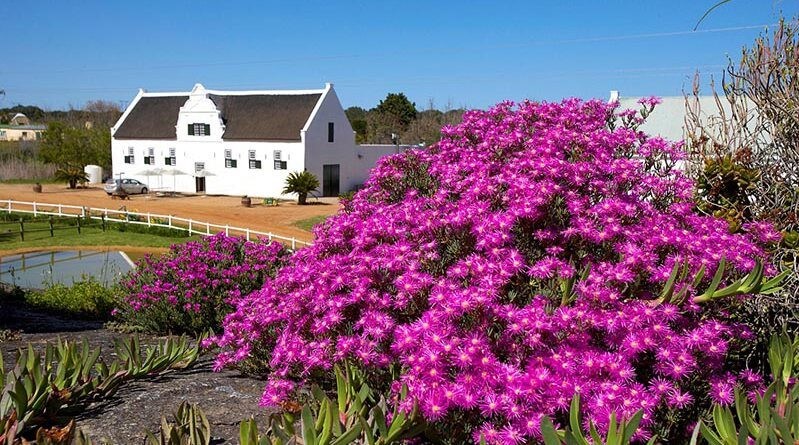 Groote Post Wines Groote Post Wines