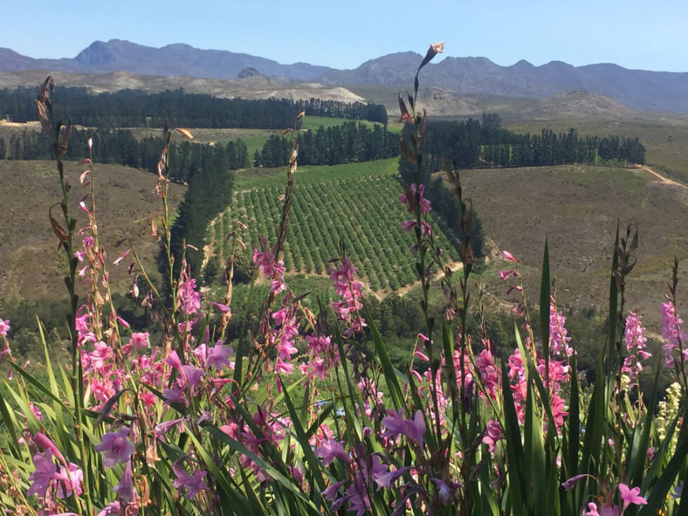 HPF Wines HPF Wines