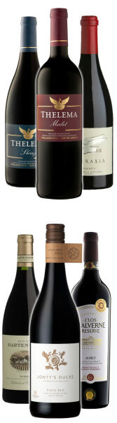 Südafrika Empfehlung vom Chef bis 20€ - Rotwein