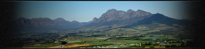 Vuurberg Wines Vuurberg Wines