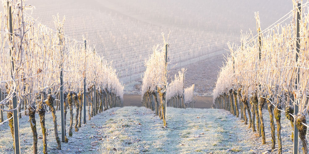 Südafrikanischer Bordeaux Blend