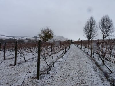 Winter_in_WO_Lions_River_1