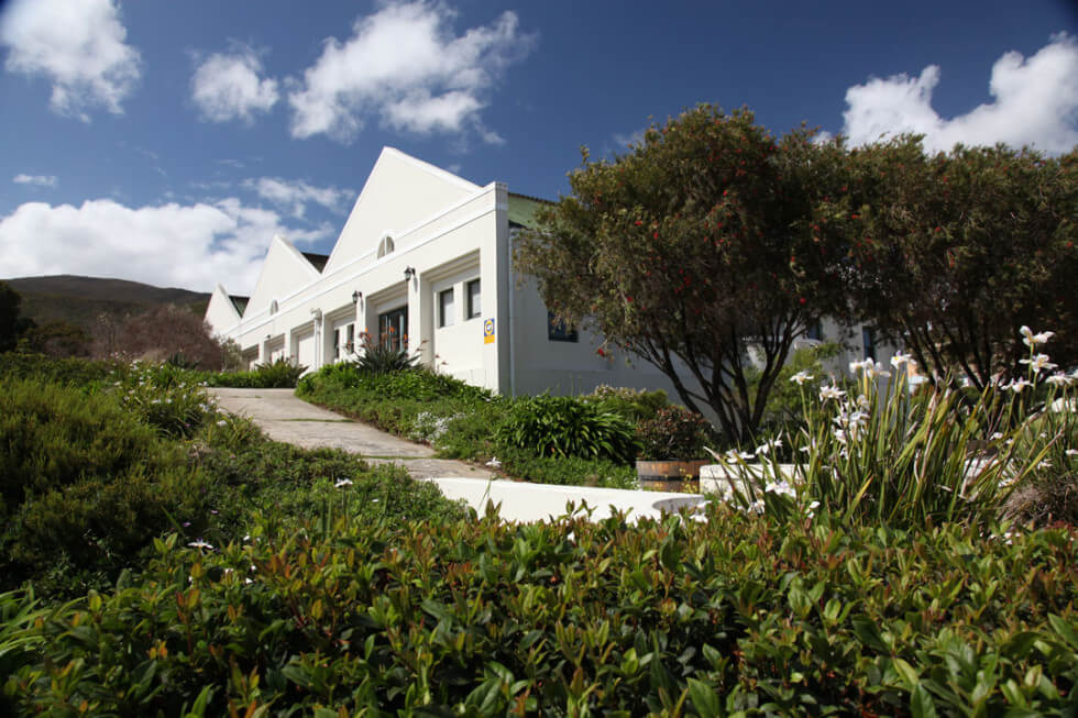 Whalehaven Wines Whalehaven Wines