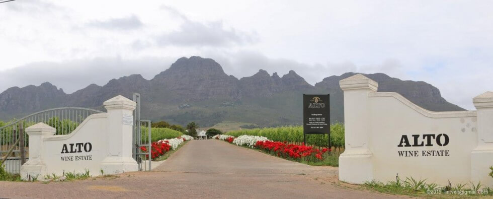 Alto Wine Estate Alto Wine Estate