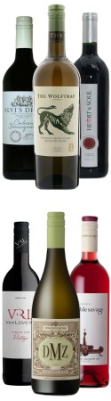 Südafrika Weinpaket für jeden Tag Südafrika Weinpaket für jeden Tag