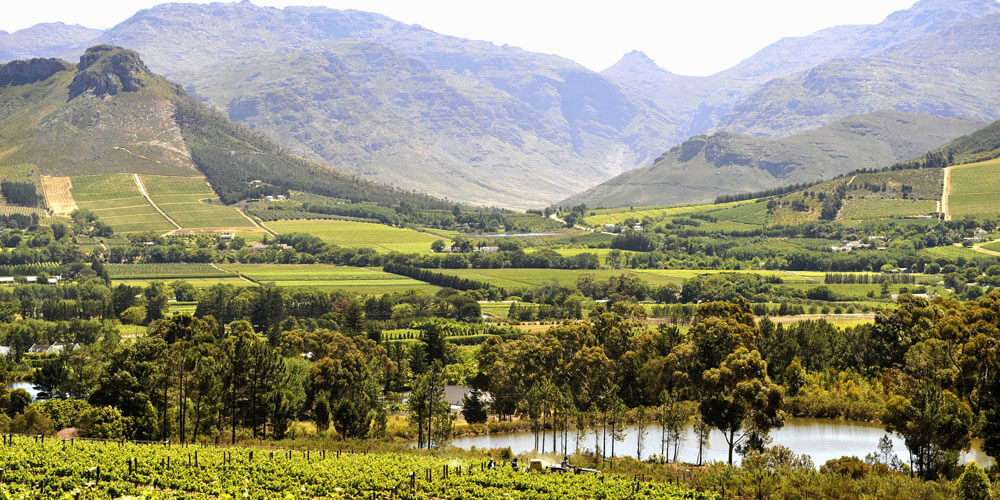 Franschhoek – exzellente Weine aus Südafrika entdecken Franschhoek
