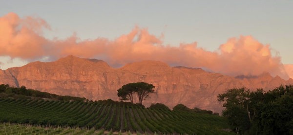 Kleine Zalze Kleine Zalze