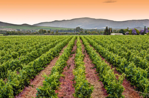 Copy-of-Copy-of-_MG_8554_5_6_fused